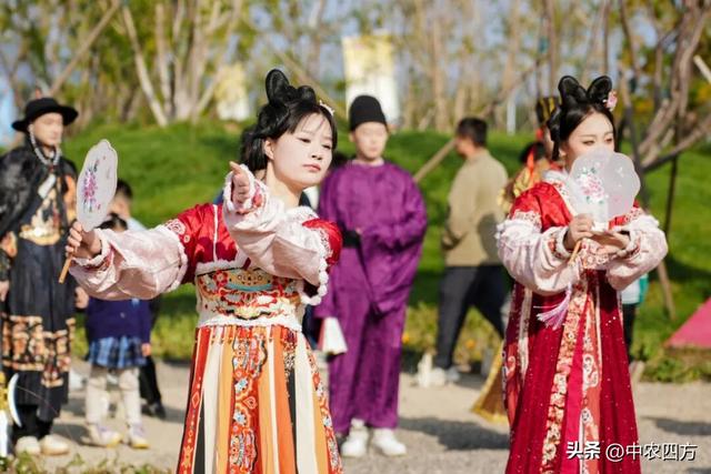 如何用 NPC 演艺 + 微演艺激活休闲农文旅？