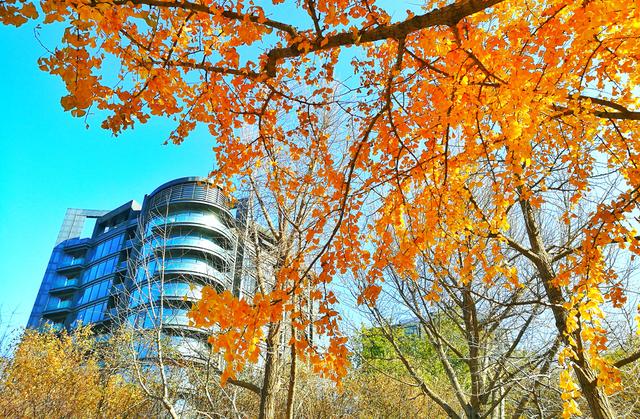 狂风散尽现碧空 北京市民陶然亭公园共赴“大风蓝”之约