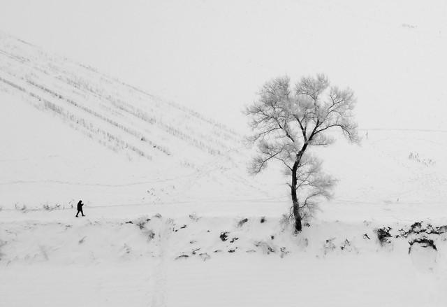 今年冬天是暖冬还是冷冬？雪大不大？答案来了