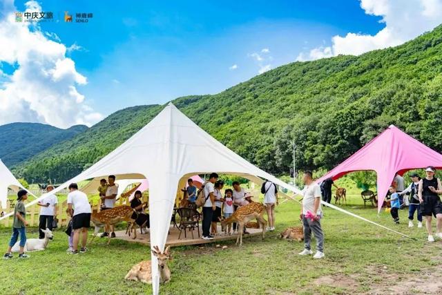吉林宝藏露营地整理，收藏起来周末出发→