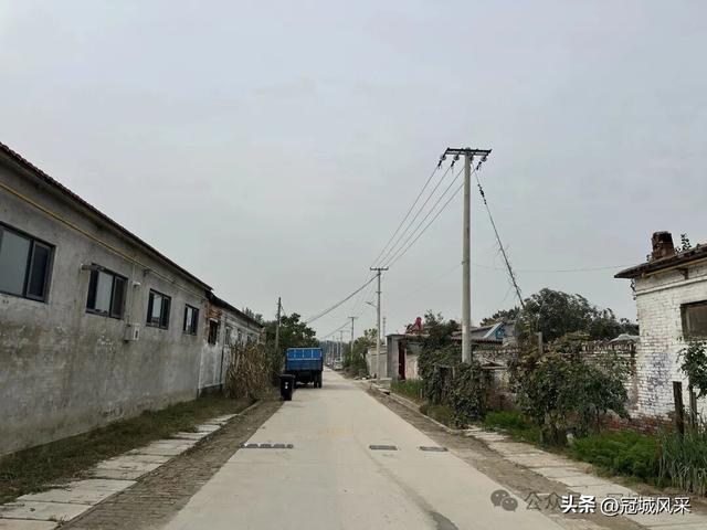 冠县乡韵·桑阿镇野场村