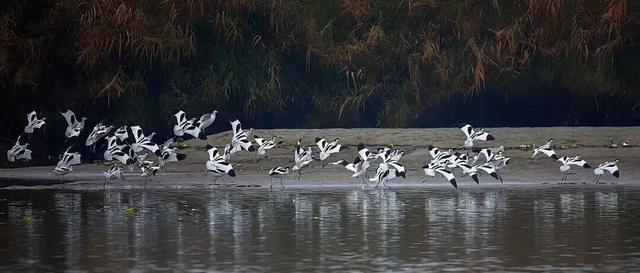 在金堂舒适过冬！就这么安排……