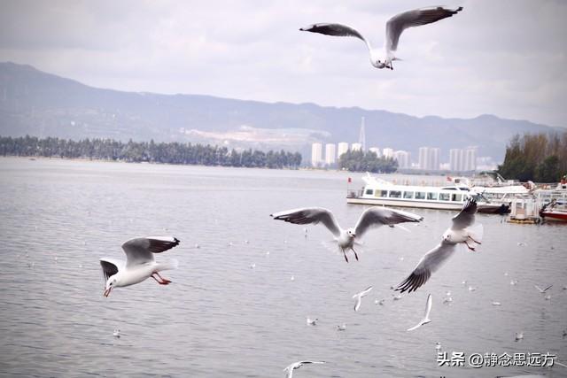 我是河南人，去了趟昆明发现：昆明人跟其他地方的人还真不一样