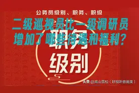 二级巡视员比一级调研员增加了哪些待遇和福利？图片