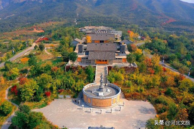 解锁石窟界的"顶流",这八大看点别错过!