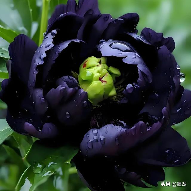 人这辈子，拼尽全力都最后图个啥？是图那口气？还是图个体面？