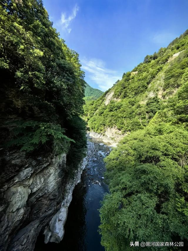 西安人的夏日消暑指南,黑河的清凉山水比空调更治愈→