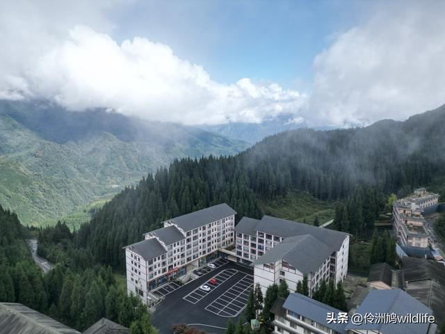 四川行(73)什邡红枫岭徒步到钟鼎寺