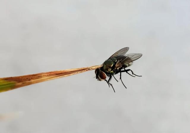 28个科学无法解释的巧合！摄影师拍到后都怀疑人生！