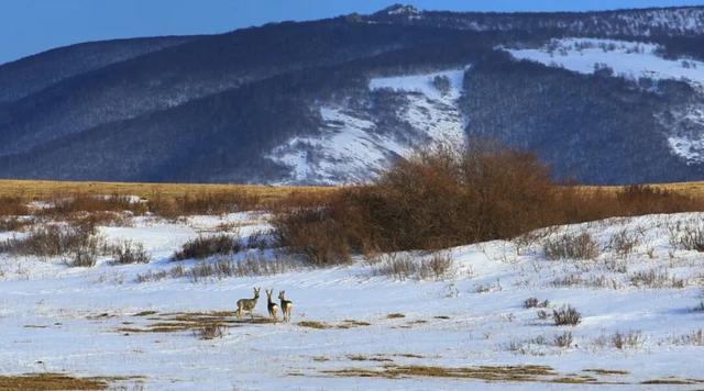 寒意浓 愿你我暖意常伴