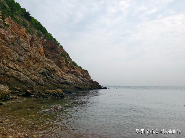 大连海之韵公园·棒槌岛