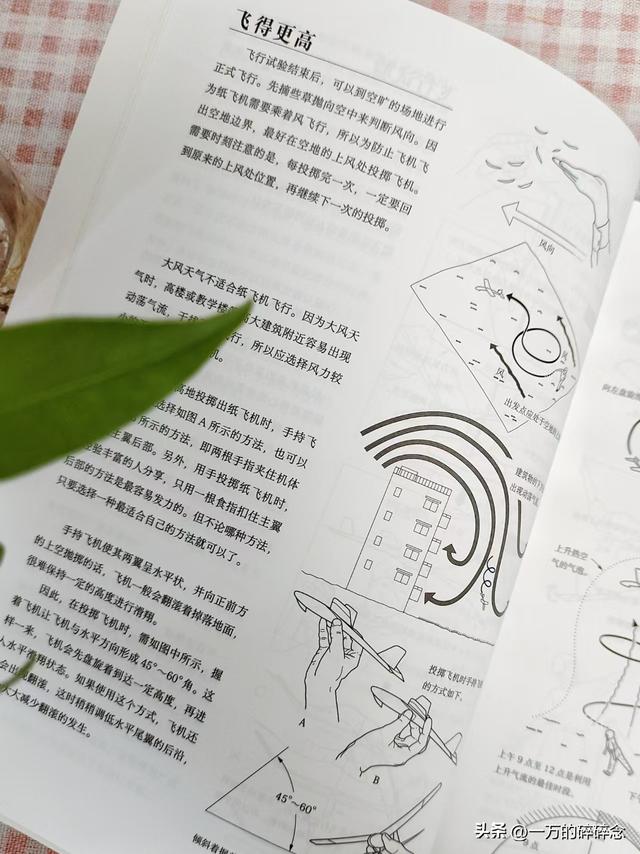 怎么投掷才能让纸飞机飞得更远？原来我们搞错了这么多年
