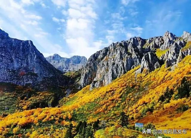 陇原赏秋韵，冬游官鹅沟