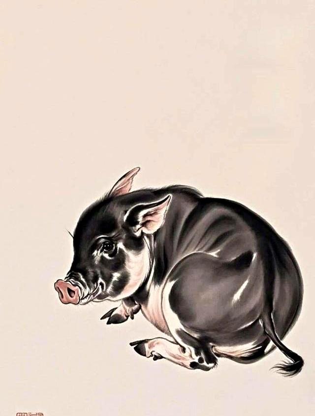 生肖猪：这辈子能跟你交深的！就这俩	，其他都是萍水相逢