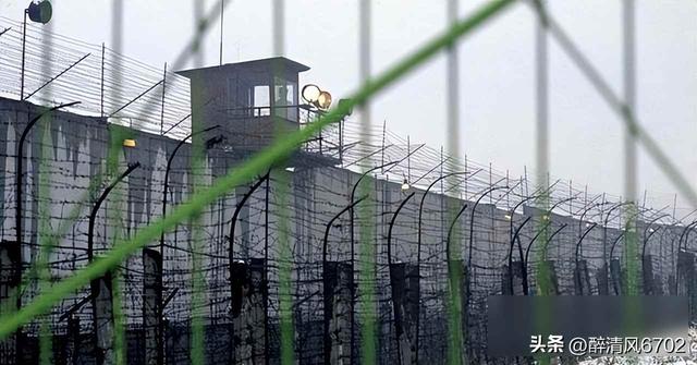 2010年，普京女婿被亿万富豪暴打，一小时后富豪被装入装甲车