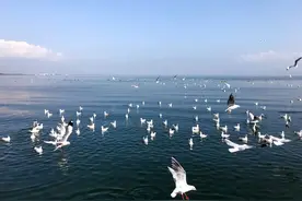 国内性价比最高的旅游路线，云南大理、丽江七天自由行攻略图片