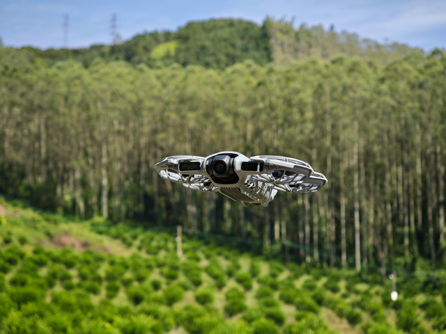 2025户外影像分岔口：性能党退场，大疆影石抢江山