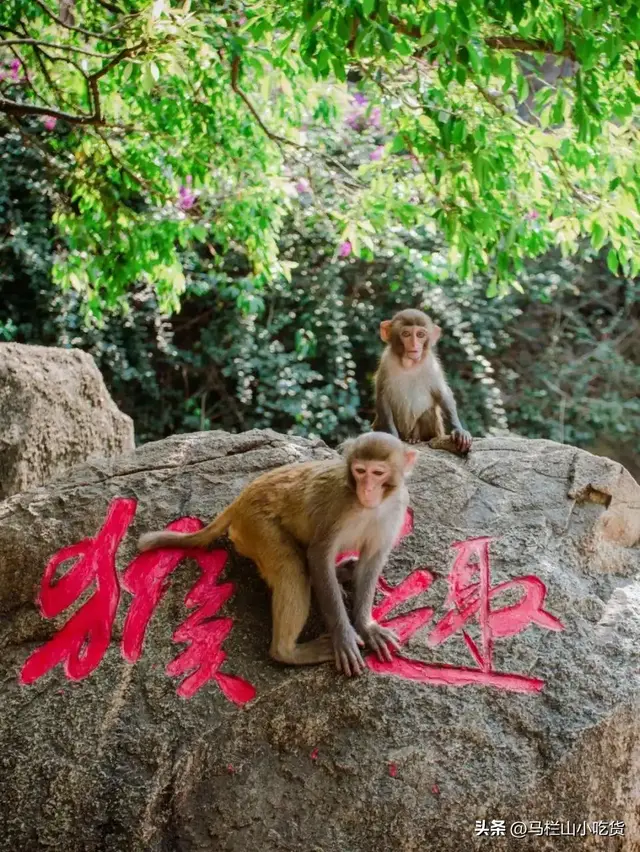 海南旅游，陵水3天2玻璃海+烟火气打卡攻略！