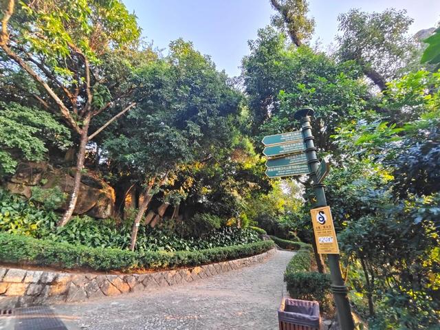 澳门马拉松：比较虐但值得去，濠江跑游全攻略