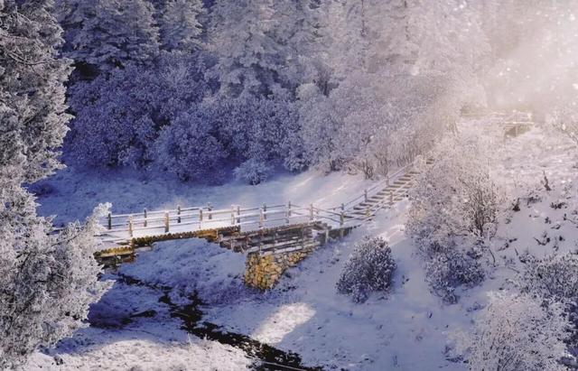 锁定官鹅沟！赴一场冰雪与烟火的双重盛宴～