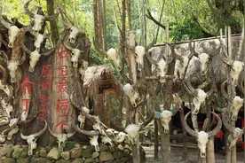 翁丁：中国最后一个原始部落，“人头祭”，万人“摸你黑狂欢节”图片