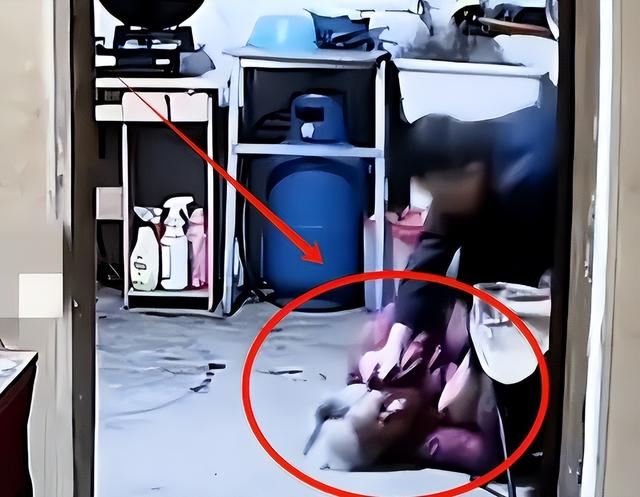 暴打母亲男家境曝光！拆迁户不差钱，老人常年不开心，邻居透露更多