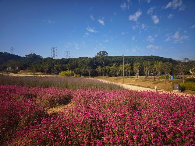 从丽康路穿荔园溪谷至西丽湖绿道骑行随拍