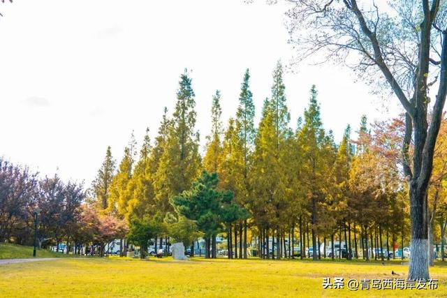 唐岛湾，美得如此满分！