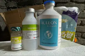 养羊需要打疫苗，需要打三联四防，对于三联四防你真的了解吗？图片