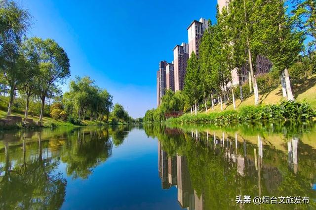 【乐游烟台】邂逅柳林河公园 开启生态宜居的森系时光