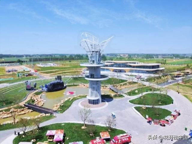 菏泽冠宇牡丹园：从“小种植园”到“大产业圈”的3A巨变