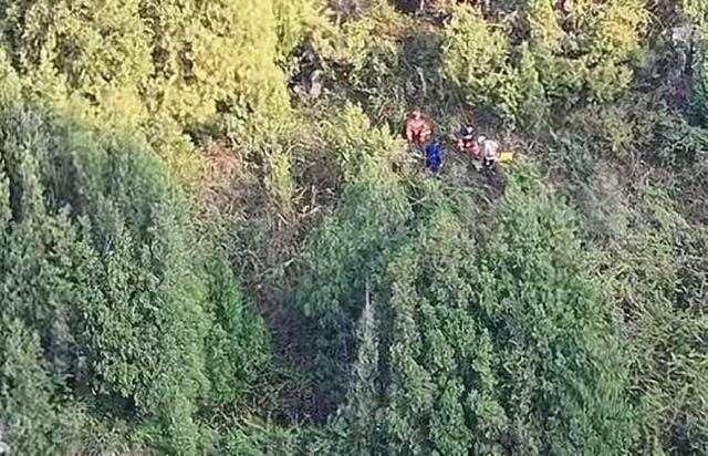 苏阳阳找到了！人摔下山崖，已确认死亡，母亲在现场哭得撕心裂肺
