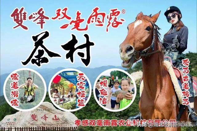 生态为基 文化为魂 孝感双峰双毫雨露茶村打造武汉都市圈短途游新选择
