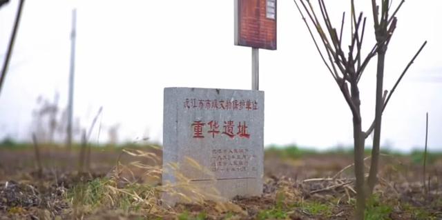 我的宝藏家乡｜舜帝城，太白诗！水上长城今傲立，金橙泼雨映洞庭