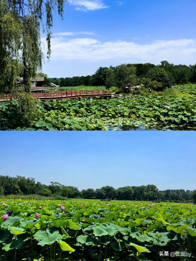 走马观花游北京的豪奢印象