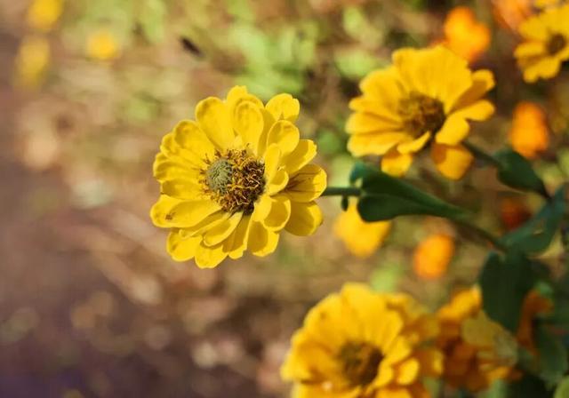 丹徒这几条路，真不想让太多人知道！