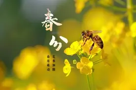 点睛节气丨AI绘春分图片