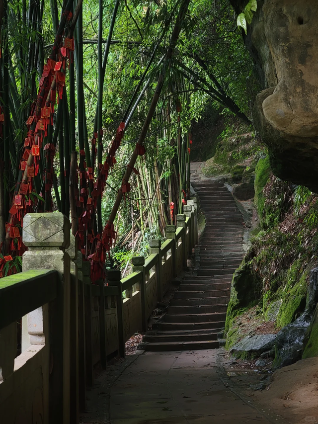 邛崃白鹤山千年绿道，成都0.5h直达，玩转古寺禅意+森系秘境！