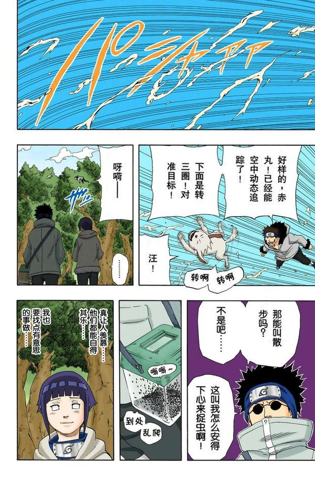 火影忍者彩漫 第二十卷 第五代火影纲手，鸣人佐助天台对决