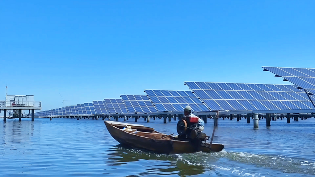 沿着黄河遇见海 | 沾化：河海相约处，邂逅一颗璀璨明珠