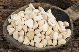 半夏专攻水湿淤堵，胃气归位，呕吐平息，逆转萎缩性胃炎。图片