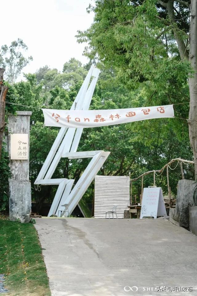 骑遇坪山① | 宝藏“高颜值”骑行线,拍出森系大片刷爆朋友圈