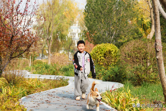 初冬大厂美如画