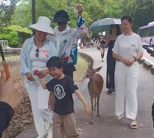 时隔一月，汪峰再陷“牵手门”，一张照片证明了森林北的真实地位