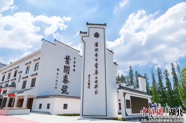 武汉中医药产业园在汉阳揭牌