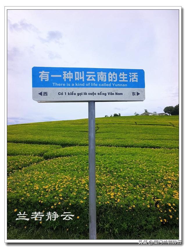 云南弥勒：太平湖森林公园的大地艺术作品