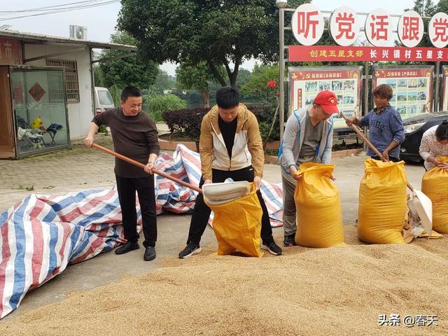 退休不游景 心系农忙情
