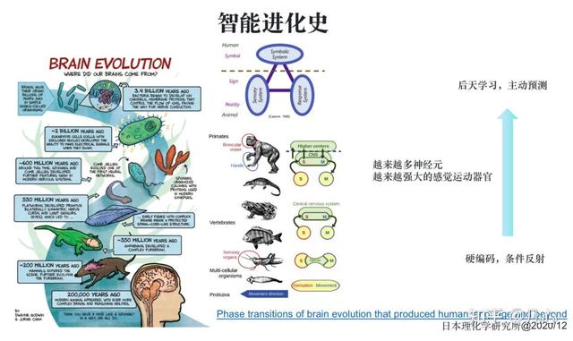 从第一性原理看大模型Agent技术