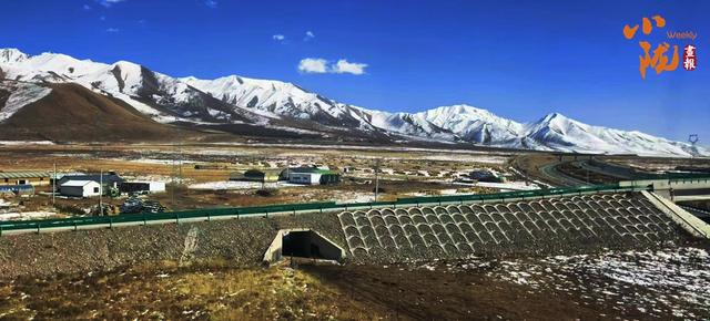 【小陇画报·424期】张掖：深秋时节 雪降祁连成诗画