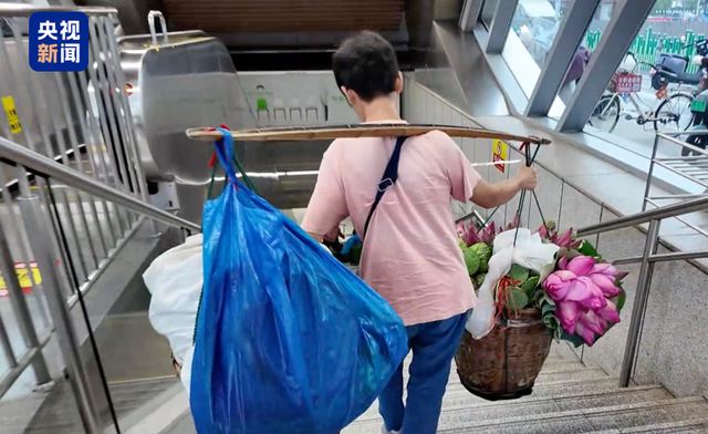 荷花市集火出圈！原来这些花是坐公交、地铁来的